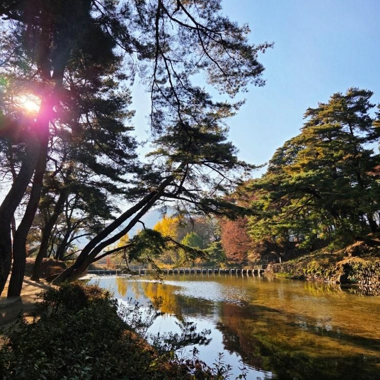 『영주 소수서원』 그리고 '카페 파란문'