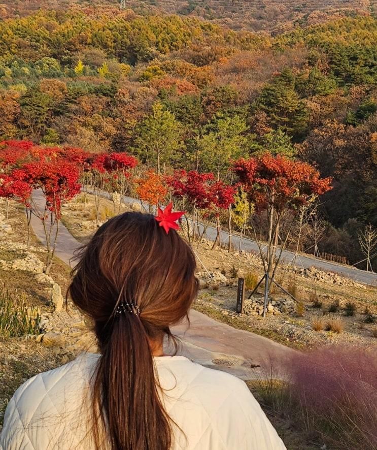 충북 음성 당일치기 여행 봉학골산림욕장과 봉학골정원 솔직... 