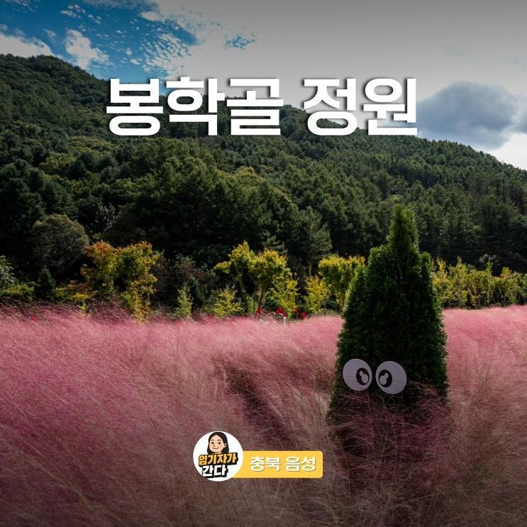 충북 음성 가볼만한곳 봉학골 산림욕장 정원 핑크뮬리 명소... 
