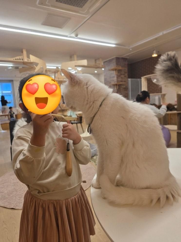 분당 서현역 고양이카페 집사의 하루 + 점핑배틀! 두 코스... 