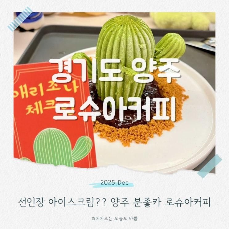 양주 로슈아커피 선인장 아이스크림 이색디저트 주차편한카페