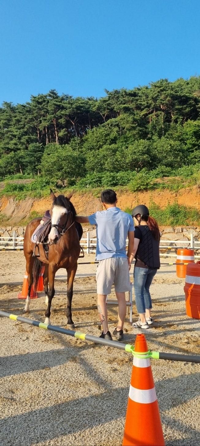 [전북순창] 전신운동과 힐링이 되는 승마체험, 아미승마클럽