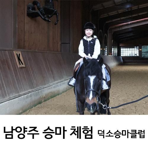 남양주 승마체험 서울근교 승마장 고퀄 덕소승마클럽