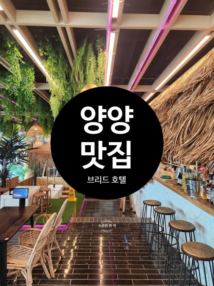 브리드 호텔 양양 맛집 포이푸 카페 & 레스토랑