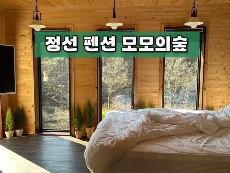 정선펜션 모모의숲 가족여행 산속 독채펜션