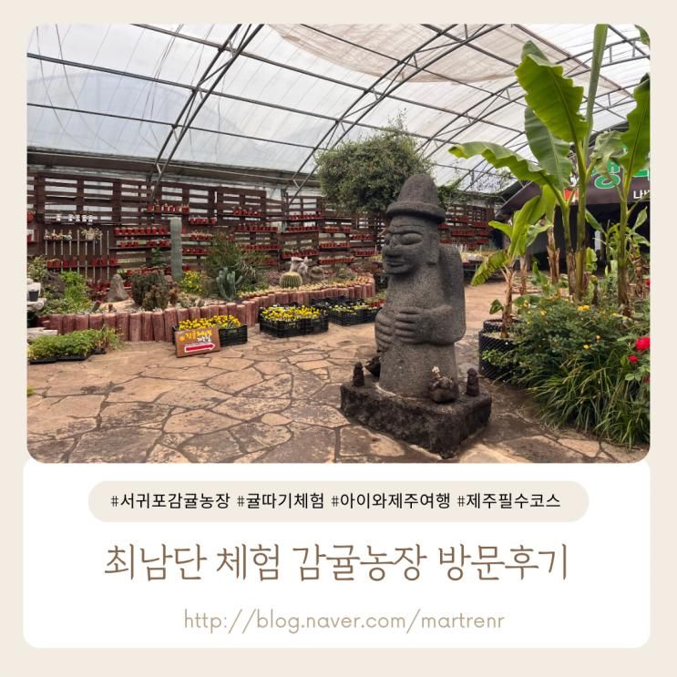 아이와 제주여행 : 최남단 체험 감귤농장(feat. 모노레일, 동물... 