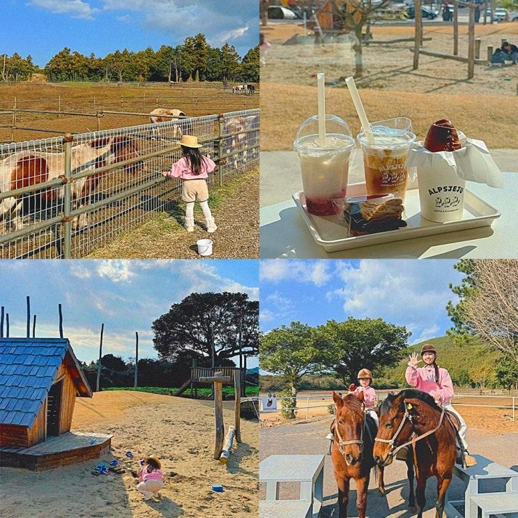 제주 서귀포 아이와 가기좋은... 숲놀이터 카페 "알프스제주"