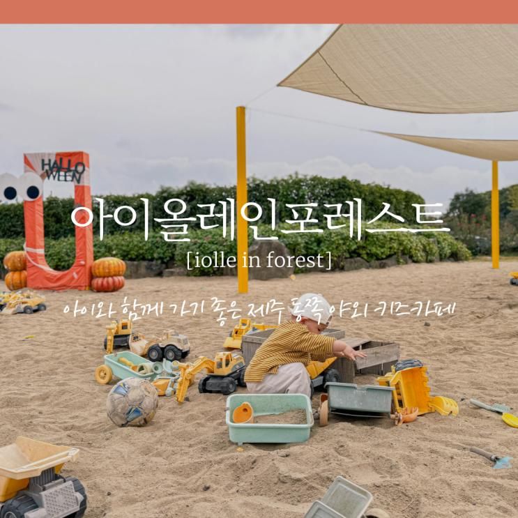 제주아이랑갈만한곳 아이올레인포레스트 제주 야외 키즈카페... 
