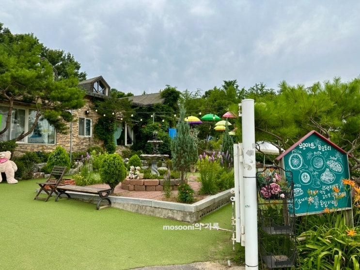 인천 계양구 대형 카페 모모토리 모모아트 후기 : 강아지를 위한... 