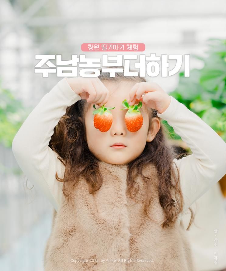 창원 아이랑 가볼만한곳 딸기체험 올해도 주남농부더하기 !
