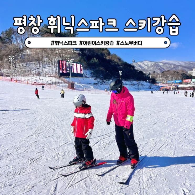 평창 휘닉스파크 어린이스키강습 스노우버디 신상 장비 렌탈샵