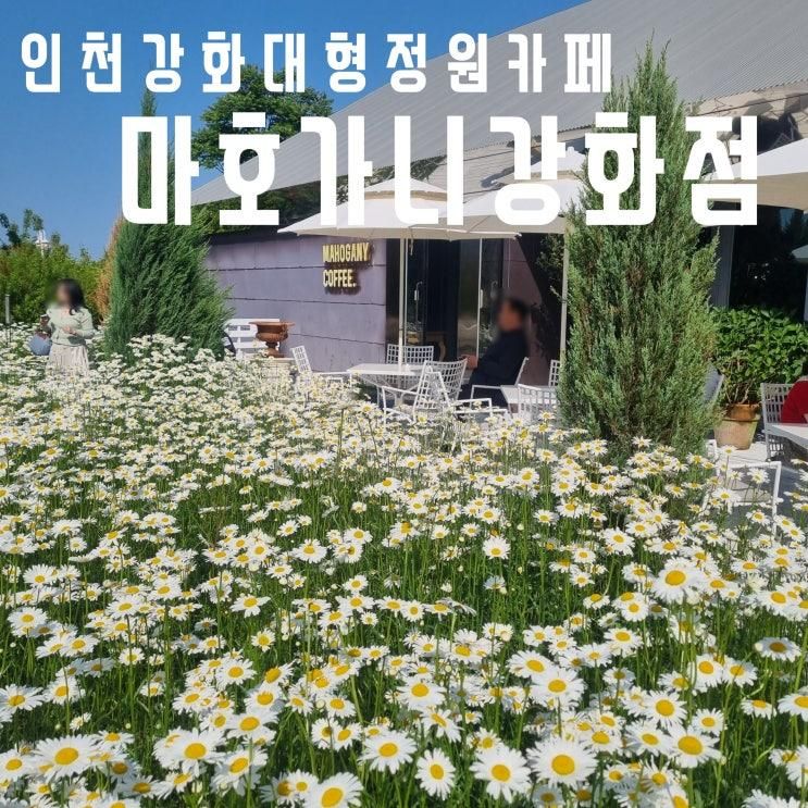 인천대형정원카페 마호가니강화점1 도레도레빌리지 명당자리... 