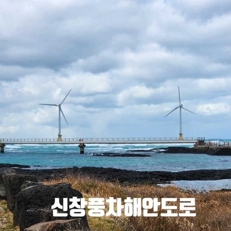 신창 풍차 해안 도로 오션뷰 라면집 풍차로 가는 길(내돈내산)