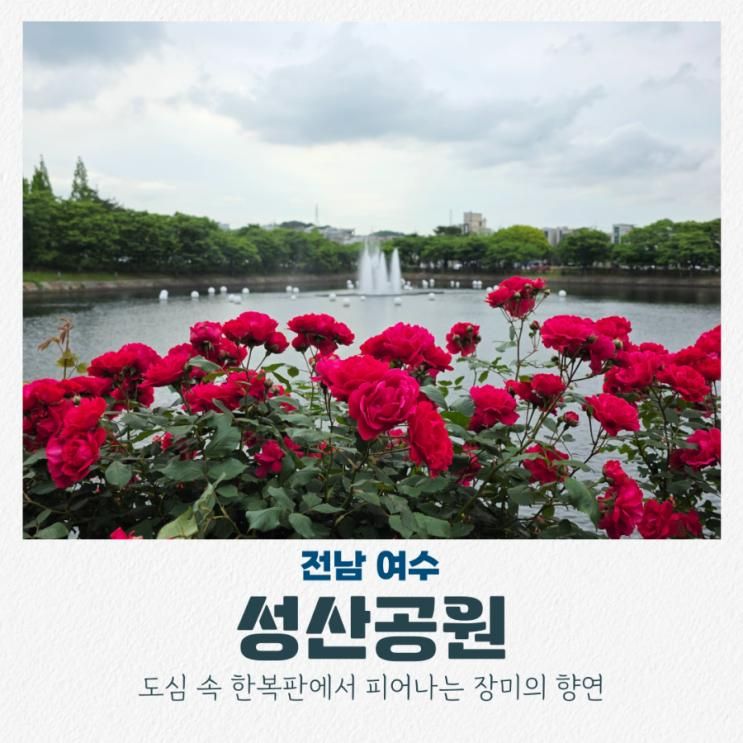 전남 여수 여행 드라이브 꽃구경 명소 성산공원 장미 놀이터