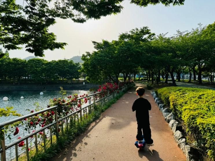 여수 아이랑 가볼만한곳 성산공원 장미 물놀이장