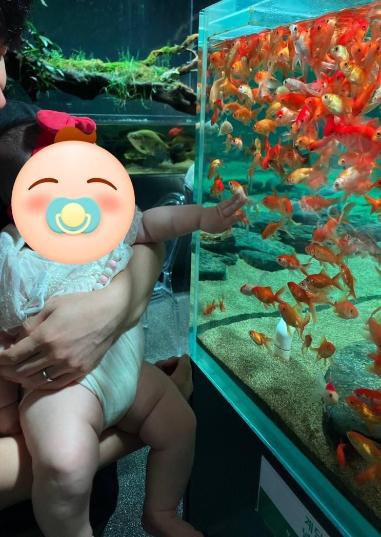 4개월 아기와 함께한 힐링 나들이, '아쿠아가든' 일산점 솔직 후기
