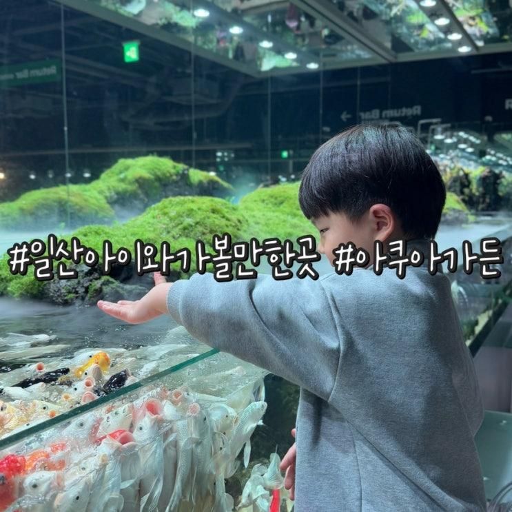 일산 아이와 가볼만한 곳 아쿠아가든 일산점 수족관 카페