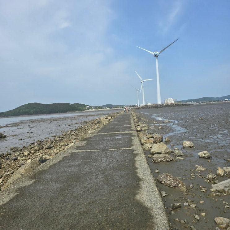 경기도 안산 대부도 누에섬 탄도바닷길 탄도항 안산9경... 
