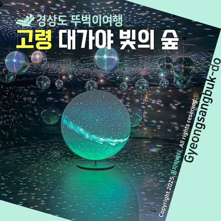 우리 아이 첫 야경 나들이 대구 근교 대가야수목원 빛의숲 핫플... 