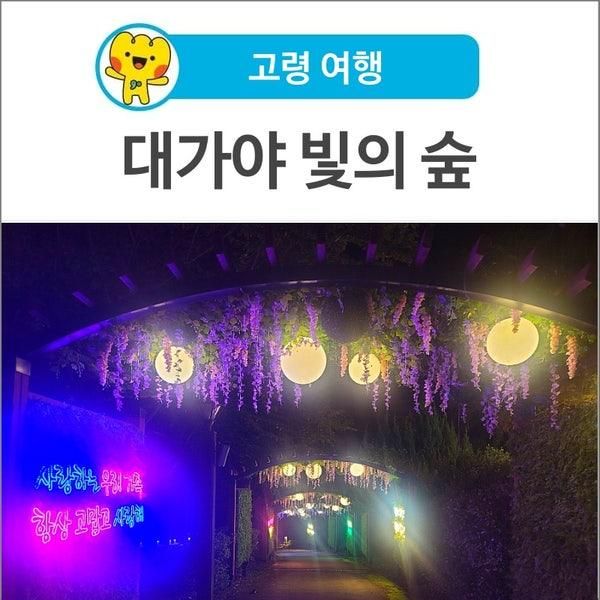 [고령 여행] 새롭게 떠오르는 야경 명소, 고령군 대가야 빛의 숲