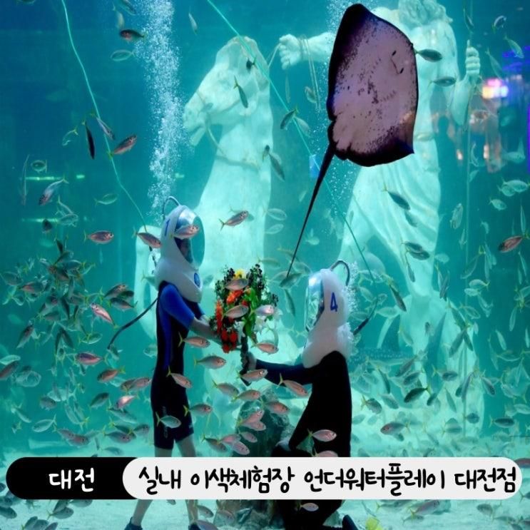 실내체험 추천! 언더워터플레이 대전점 위치, 예약, 요금 정보