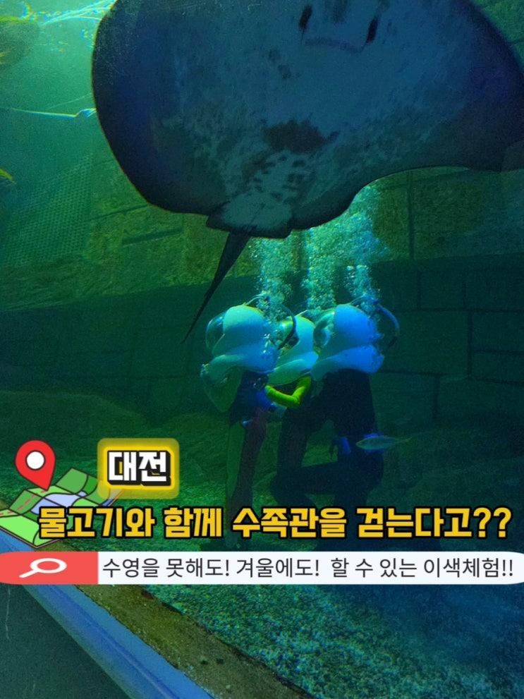 대전 신세계 아쿠아리움 씨워커 후기 언더워터 플레이로 바다... 