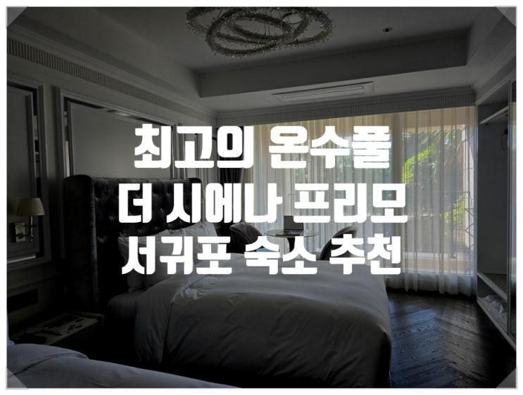 제주 여행 서귀포 숙소 추천 더 시에나 프리모