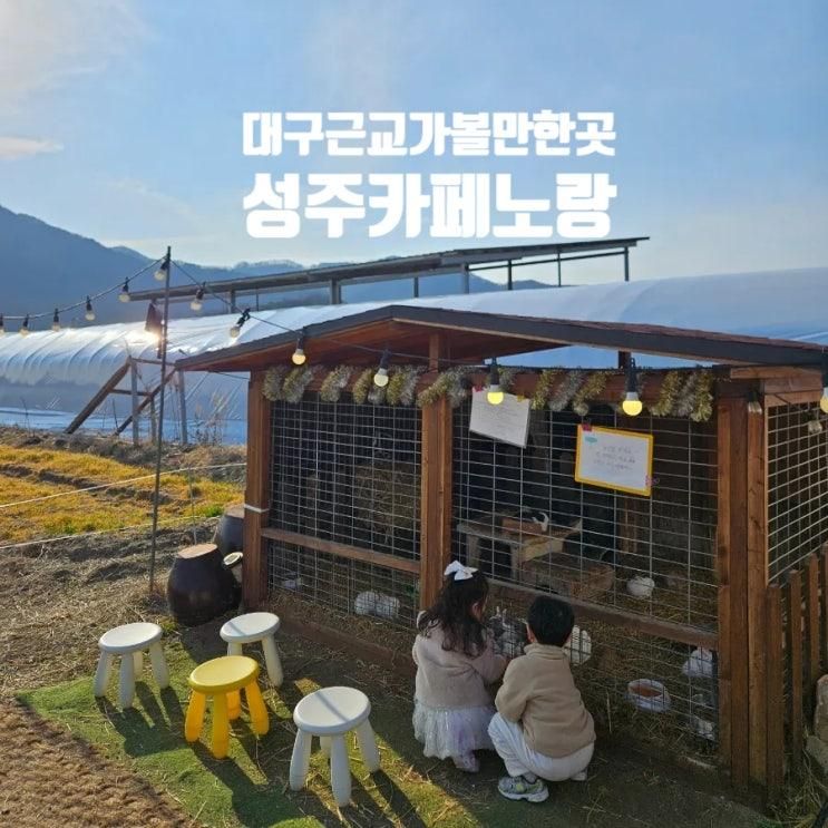 성주 아이랑 가볼만한곳 모래놀이 토끼먹이주기 : 카페 노랑