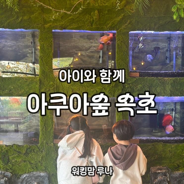 아이와 함께, 아쿠아숲 속초