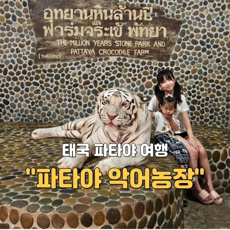 아이와 파타야 여행 백만년 바위 공원과 악어 농장 먹이주기