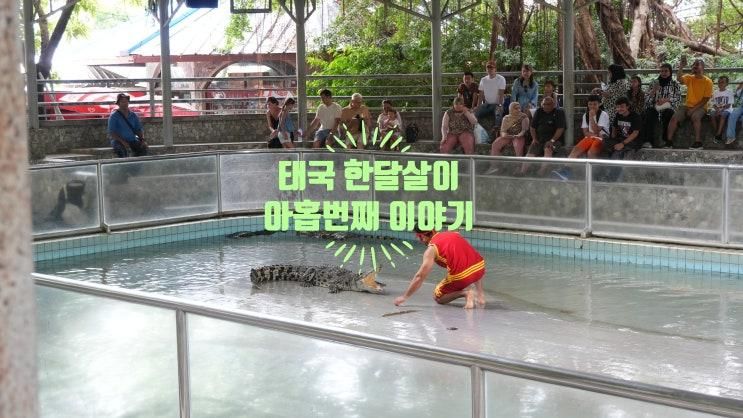 이야기(9), 백만년바위공원과 악어농장과 파타야 가든 시뷰 리조트