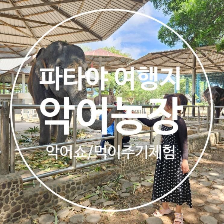 여행] 파타야 가볼만한곳 백만년 바위공원과 악어농장 이용후기