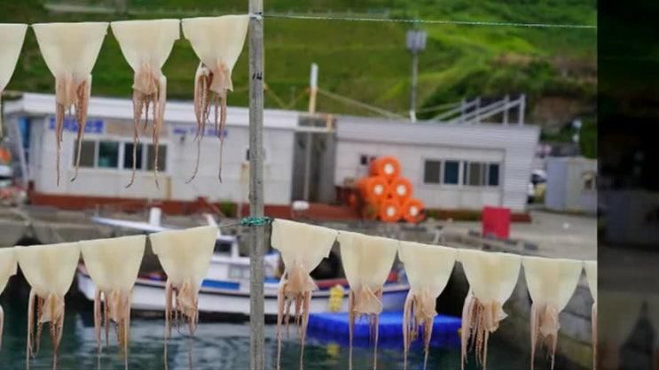방어 잡으러간 제주도 바다체험 차귀도 달래 배낚시