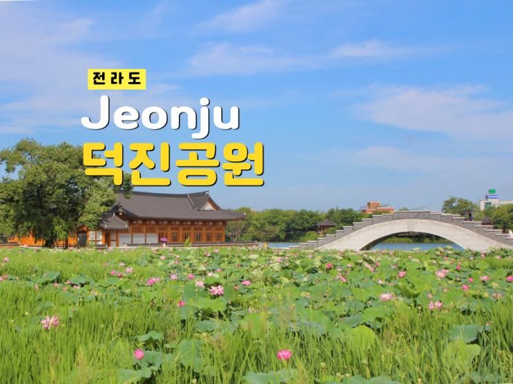 전주 가볼만한곳 덕진공원 연꽃 개화시기 연화정도서관 주차장... 