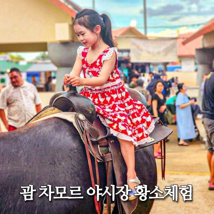 괌 스페인광장 차모르 야시장 황소체험 날짜 시간 정보