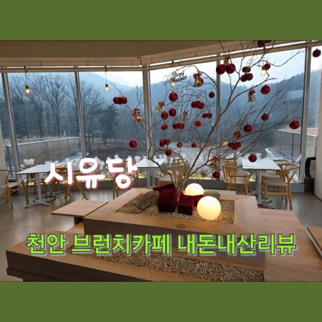 시유당 천안브런치카페 내돈내산솔직후기