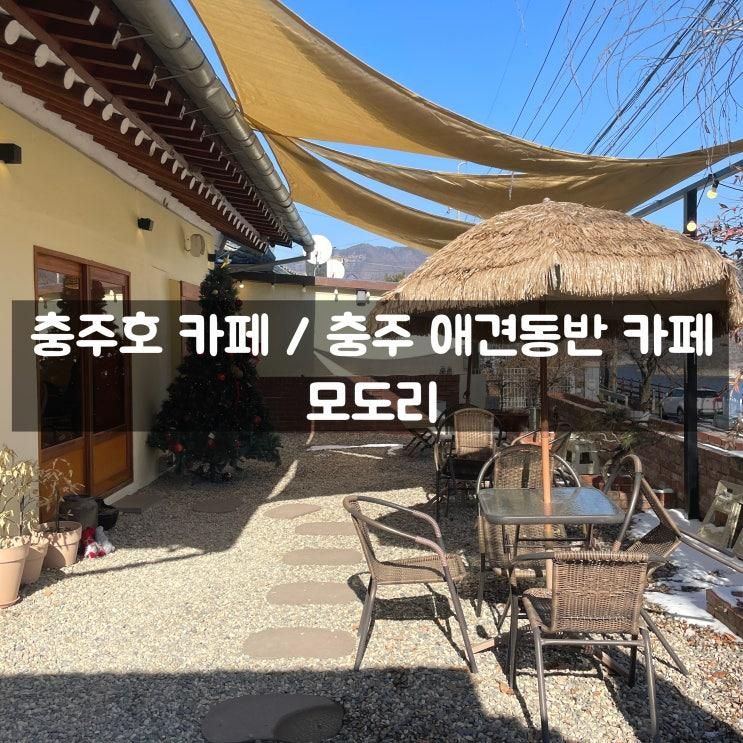 충주호 카페 / 충주 애견동반 카페 - 모도리