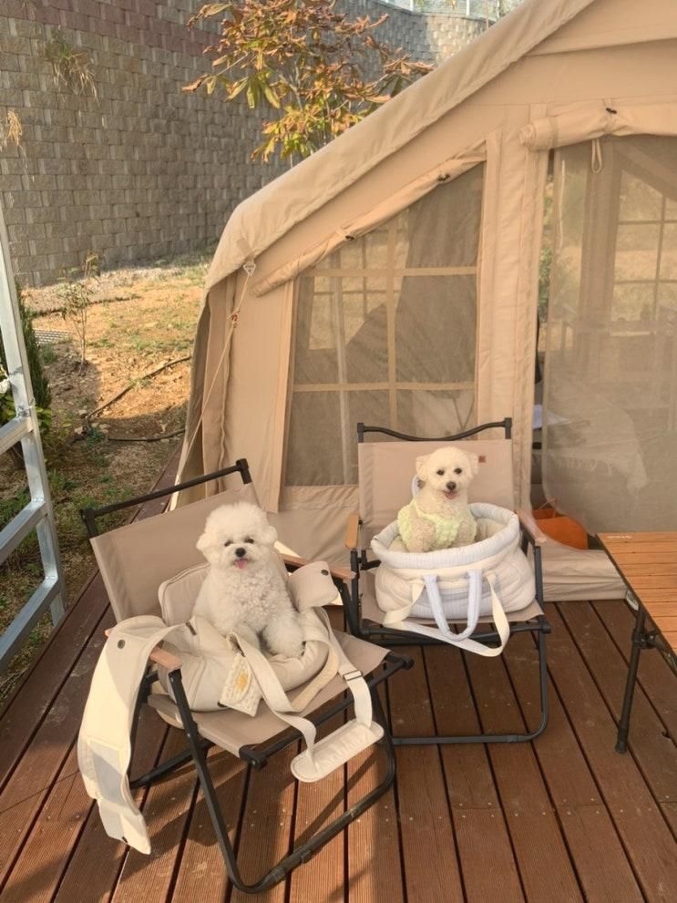 강화도 : 서울 근교 당일치기 팜크닉 캠핑장, 틸러 가든