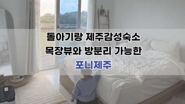 돌아기 제주 투룸 숙소) 목장뷰가 끝내주는 ‘포니제주’