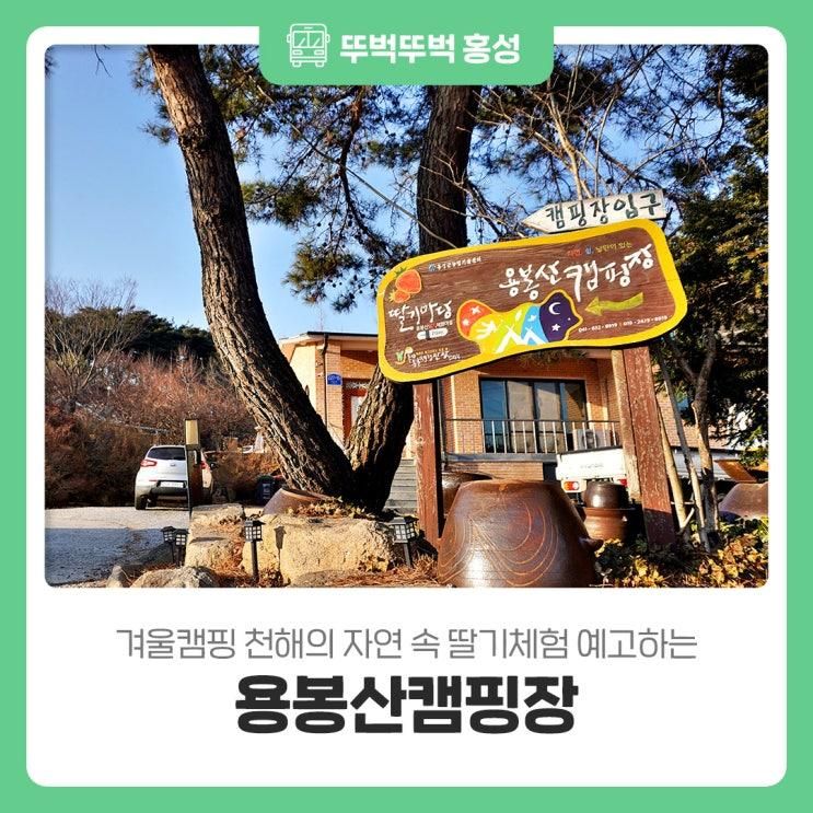 겨울 캠핑 천해의 자연 속 딸기체험 예고하는 용봉산캠핑장