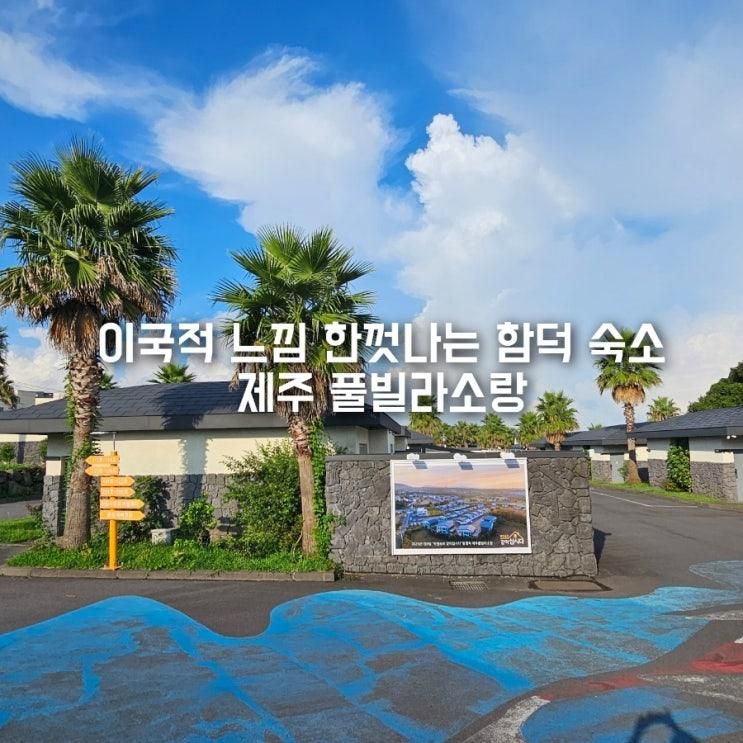 제주 풀빌라 소랑 내돈내산 온수풀 있는 가족 독채... 