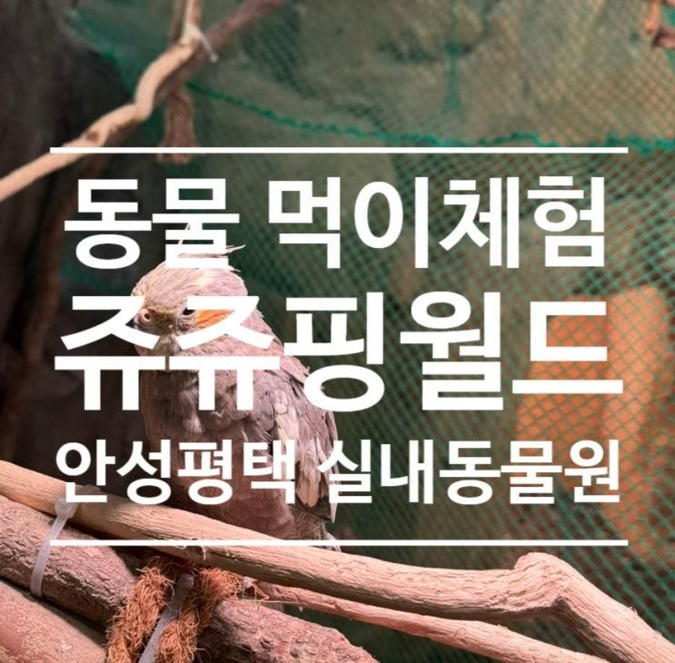 어른도 좋아하고 아이랑 갈만한 곳 / 쥬쥬핑월드