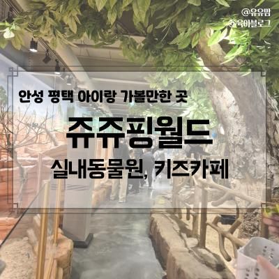 안성 평택 아이랑 갈만한 곳, 쥬쥬핑월드(실내동물원, 키즈카페... 