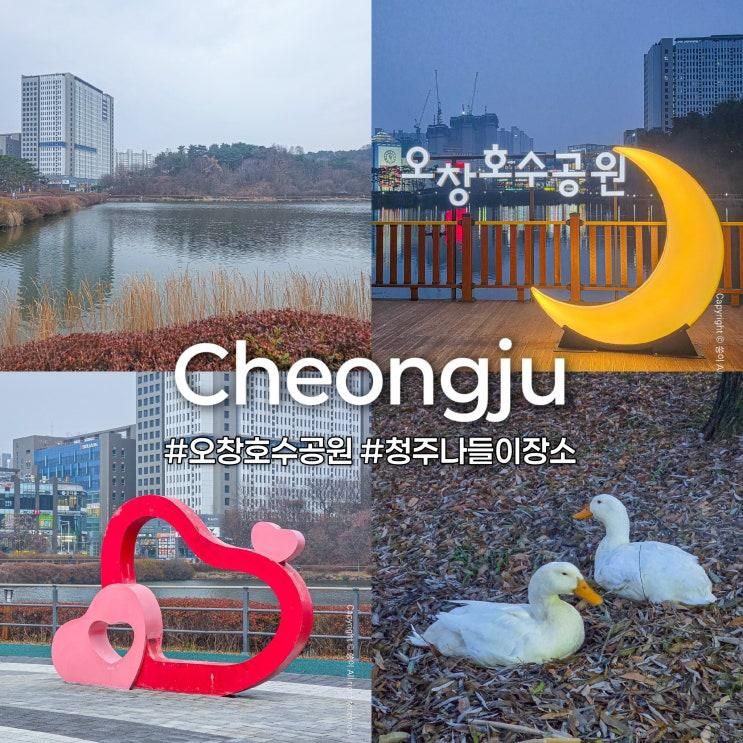 청주 가볼만한곳 추천 오창 호수공원 청주 나들이 산책로