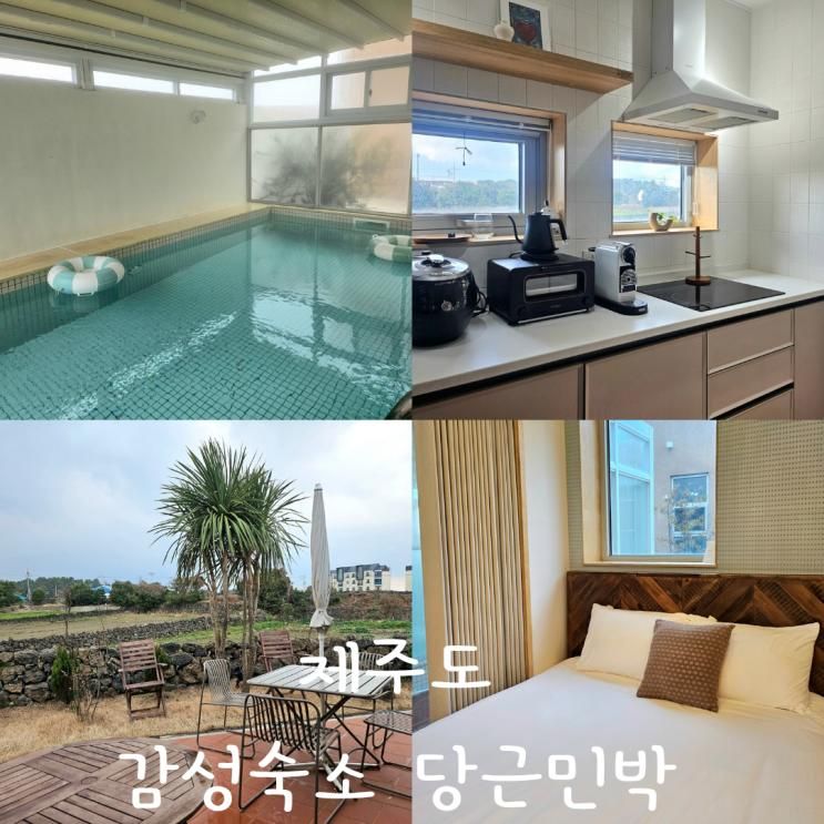 제주 동쪽 숙소 세화해변 근처 독채펜션 당근민박