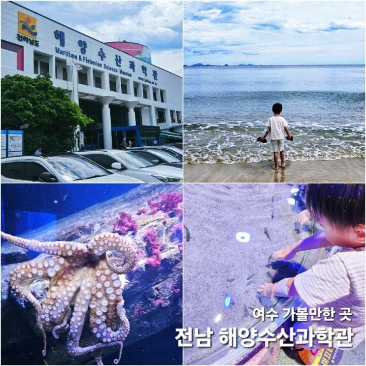 전남 여수 무슬목해변 아이와 갈만한 곳 '해양수산과학관'