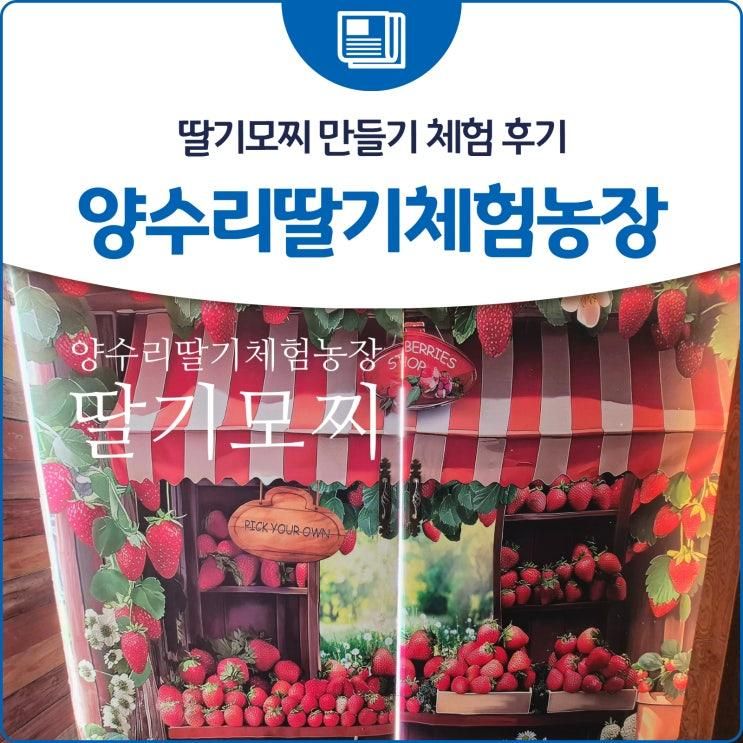딸기모찌 만들기 체험 후기 양수리딸기체험농장