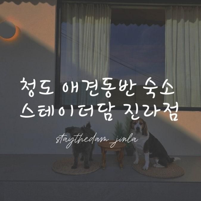청도 애견동반 숙소 한옥 독채 펜션 스테이더담 진라점 후기