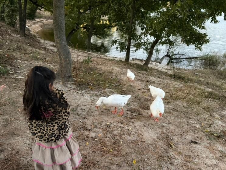 대전 대청호 아이랑 갈만한 곳 대청호자연생태관 대청호오백리... 