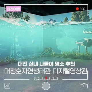 대전 실내 나들이 명소 대청호자연생태관 디지털영상관 방문기